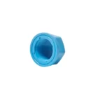 ฝาครอบเกลียวใน-หนา ฟ้า
